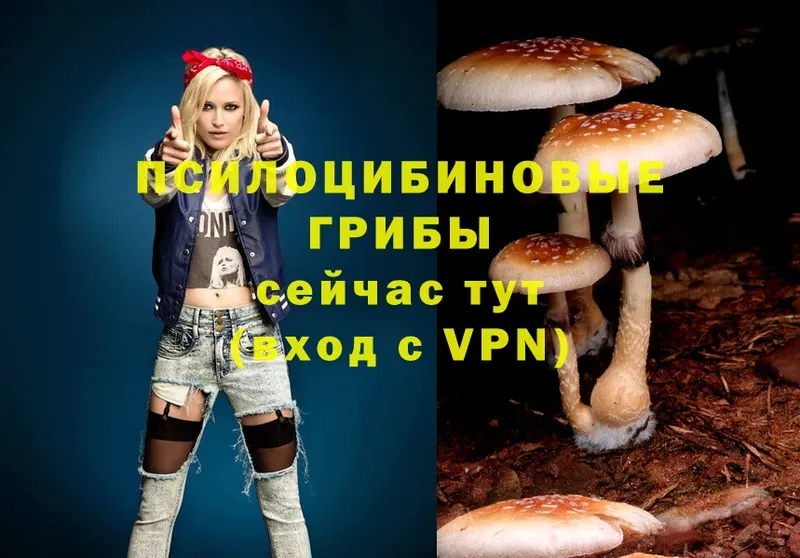 Псилоцибиновые грибы Magic Shrooms Афипский